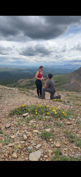 The Proposal